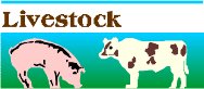 LIVESTOC.WMF