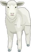 LAMB.WMF