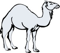 Kamel_01.wmf