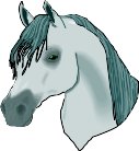 HRSEHEAD.WMF