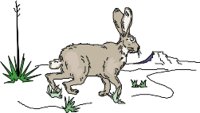 HARE.WMF