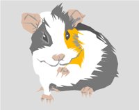 GUINEAPG.WMF