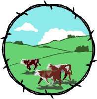 GRAZIN.WMF