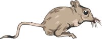 GERBIL.WMF