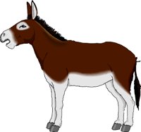 Donkey5.wmf