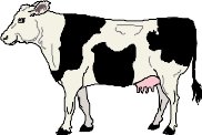 DAIRY.WMF