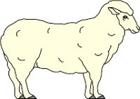 CS000104.WMF