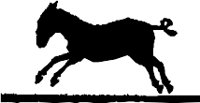 CC000383.WMF
