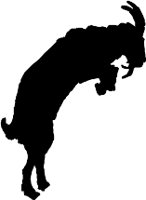 CC000373.WMF