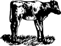 CC000315.WMF