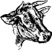 CC000313.WMF