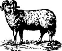 CC000306.WMF