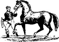 CC000219.WMF