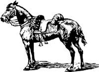 CC000215.WMF