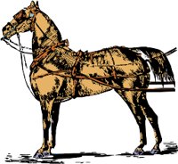 CC000212.WMF