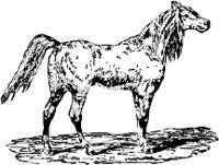 CC000207.WMF