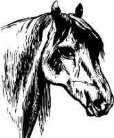 CC000196.WMF