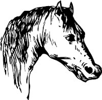 CC000195.WMF