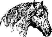 CC000190.WMF