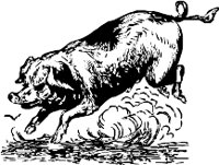 CC000173.WMF