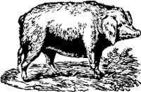 CC000172.WMF