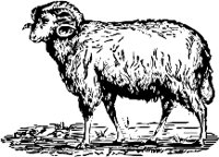 CC000171.WMF