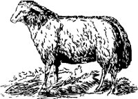 CC000170.WMF