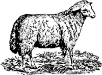 CC000165.WMF