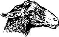 CC000164.WMF