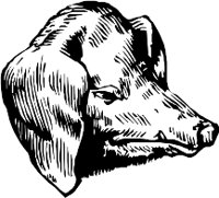 CC000158.WMF