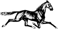 CC000126.WMF