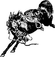 CC000125.WMF