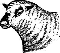 CC000122.WMF