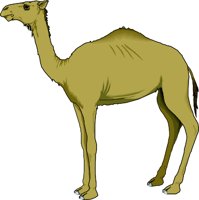 CAMEL.WMF