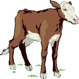 CALF.WMF