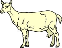 Bit11_60.wmf