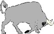 BULLMORT.WMF