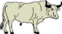 BULL1.WMF