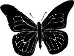bttrfly2.WMF