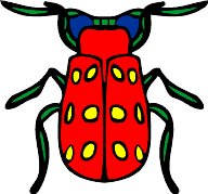beetle1.WMF