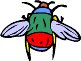 beetle.WMF