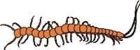 CS000409.WMF