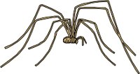CS000395.WMF