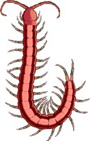 CENTIPED.WMF