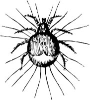 CC000573.WMF