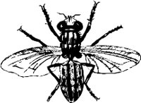 CC000494.WMF