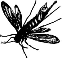 CC000492.WMF
