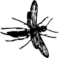 CC000491.WMF