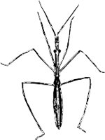 CC000489.WMF