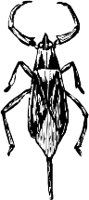 CC000486.WMF